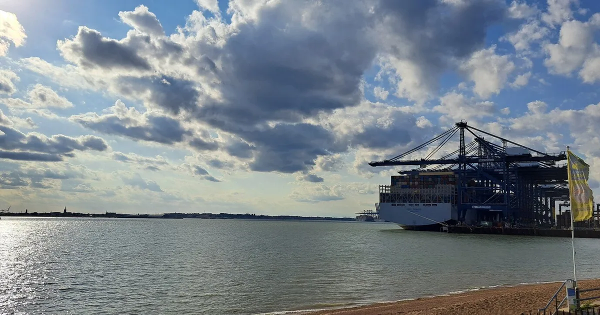 A loaded container ship moored under gantry cranes at a UK container port, seen across an estuary in evening light.