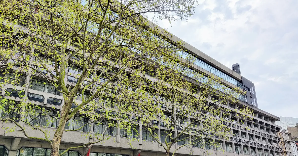 The brutalist concrete and glass facade of King's College London's Strand Building, seen from street level through plane trees.