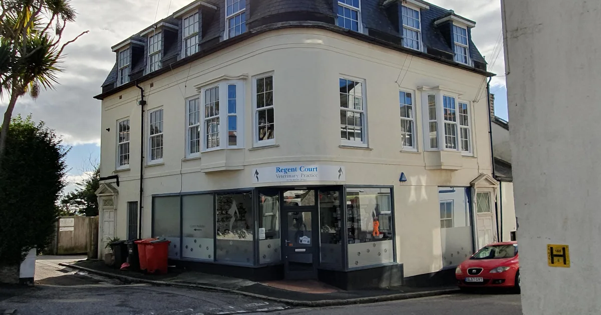 Regent Court Veterinary Practice, a first-opinion vet practice on Queen Street, Penzance, Cornwall.